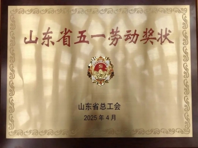 喜报丨热烈庆祝完美（中国）机械荣获“山东省五一劳动奖状”