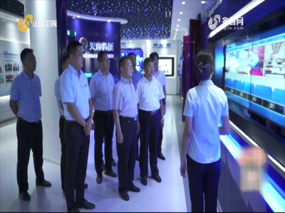 省派民营企业高质量发展服务队助推完美（中国）发展